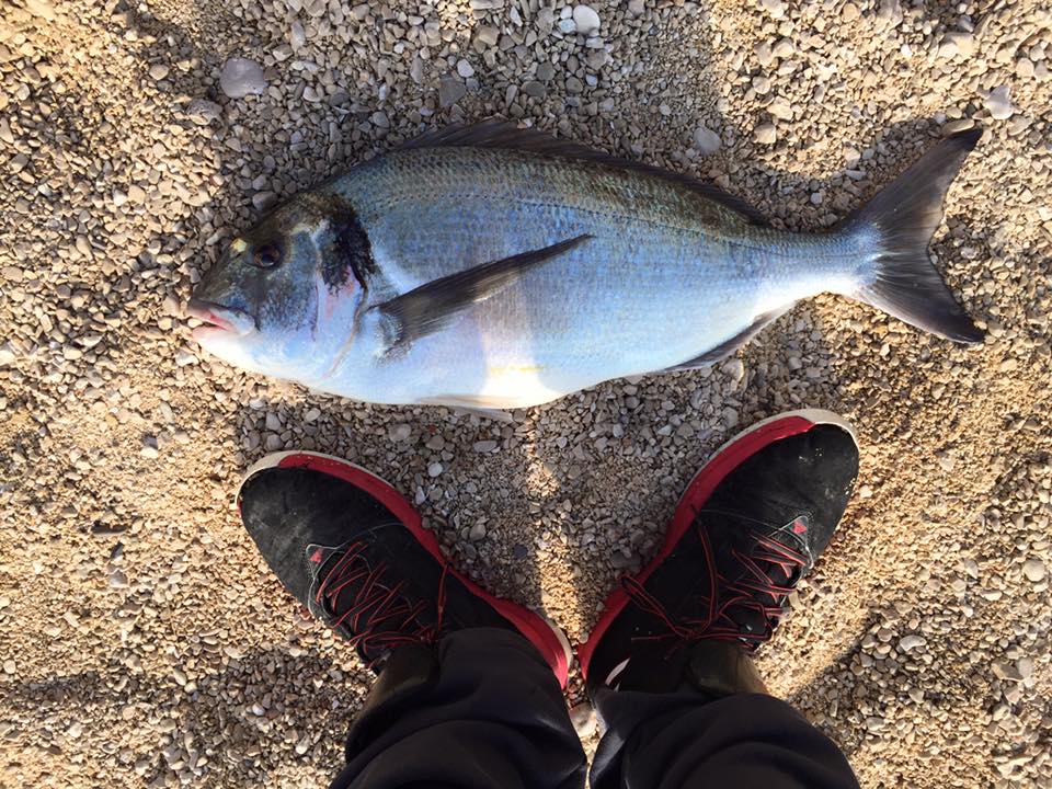 Surf casting
